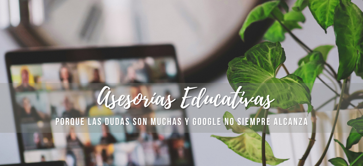 Laptop sobre un escritorio mostrando una videollamada grupal, con hojas de una planta en primer plano