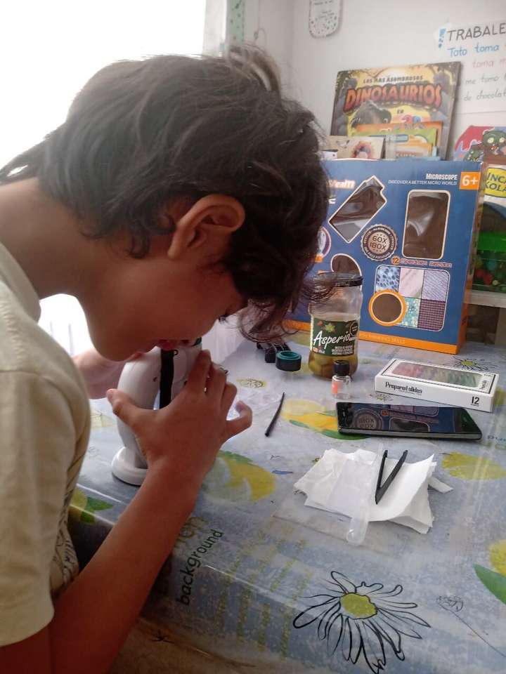 Niño observa a través de su microscopio